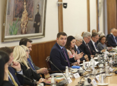 Davor Filipovic 012.jpg