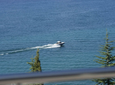 2024_SCDF_Landscapes11.jpg