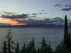 2024_SCDF_Landscapes20.jpg